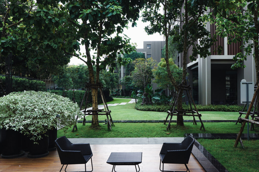 Gallery 1