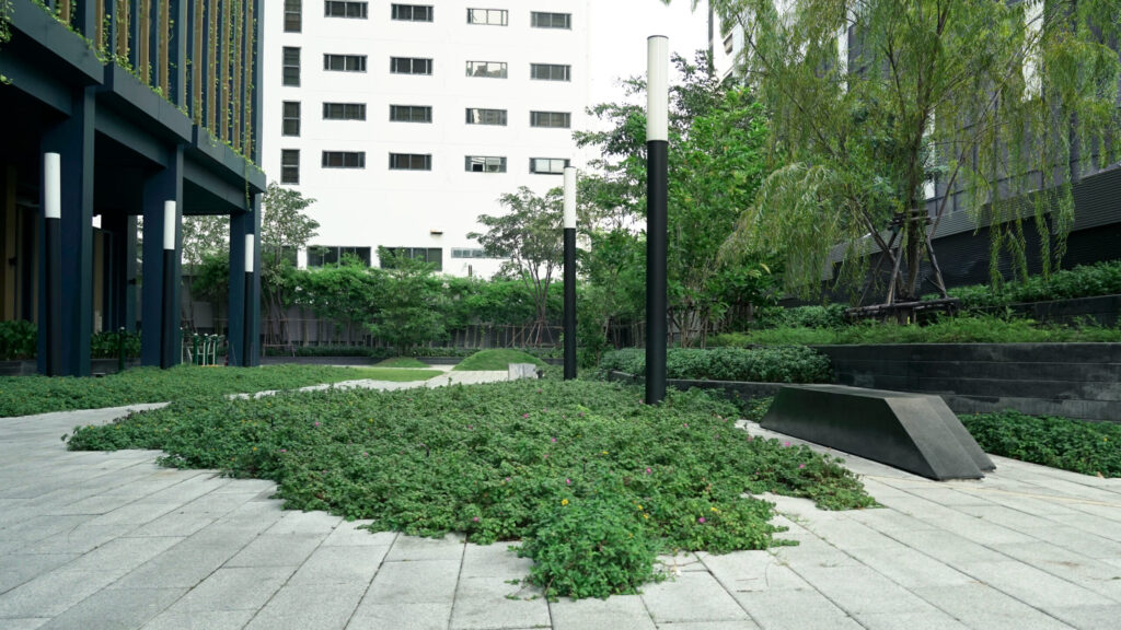 Gallery 1