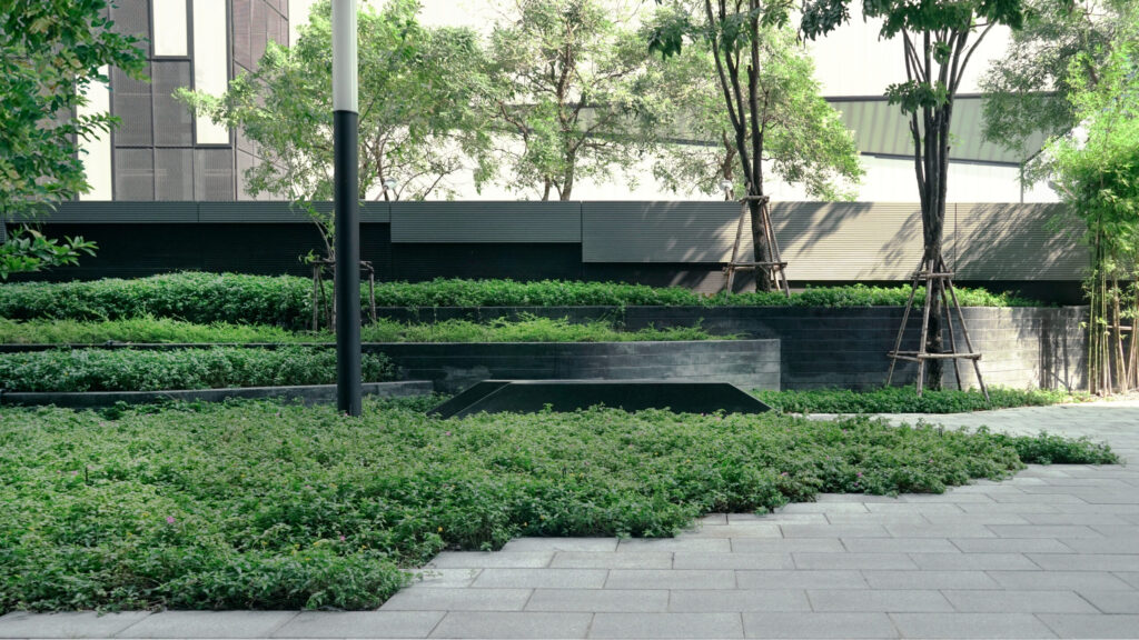 Gallery 1